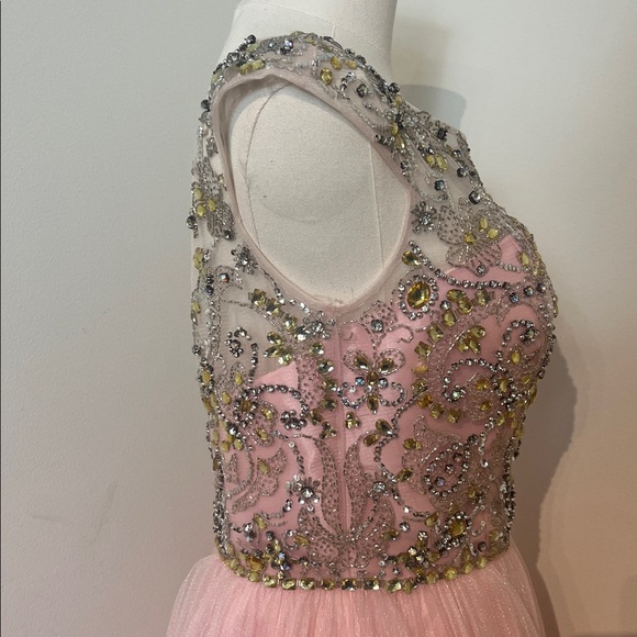 Sherri Hill 2814 Pink Dress - Picture 9 of 17